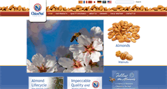 Desktop Screenshot of chiconut.com